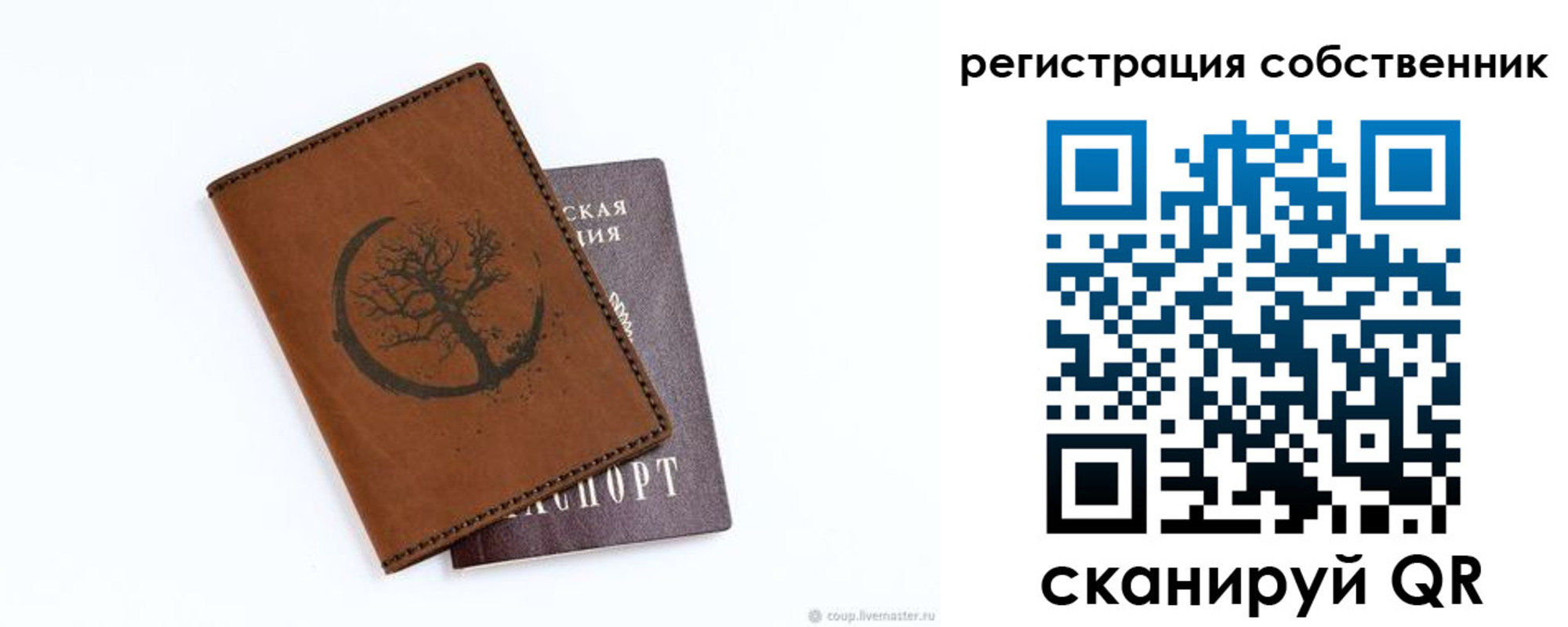 прописка в Петропавловске-Камчатском
